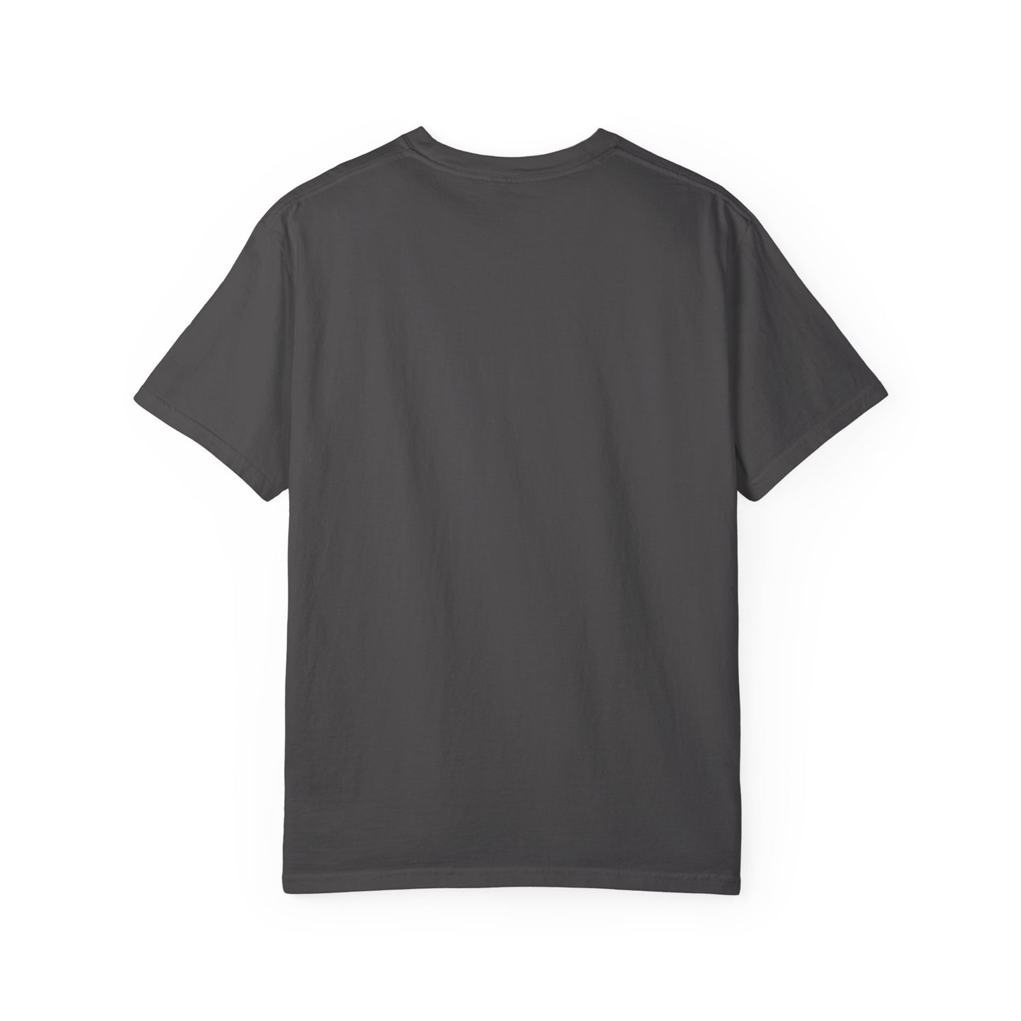 Point within a Circle & Parallel Lines Graphic Tee