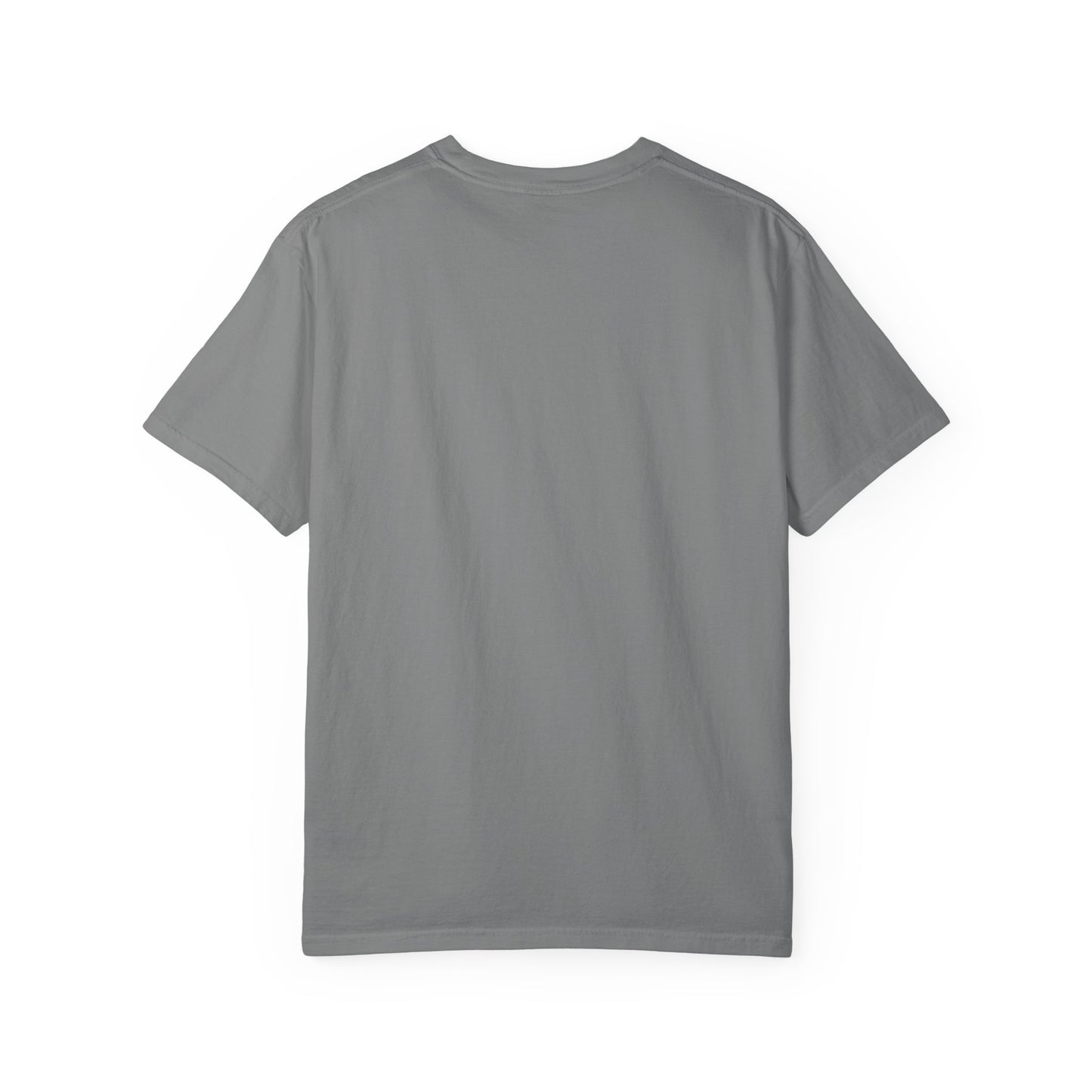 Point within a Circle & Parallel Lines Graphic Tee