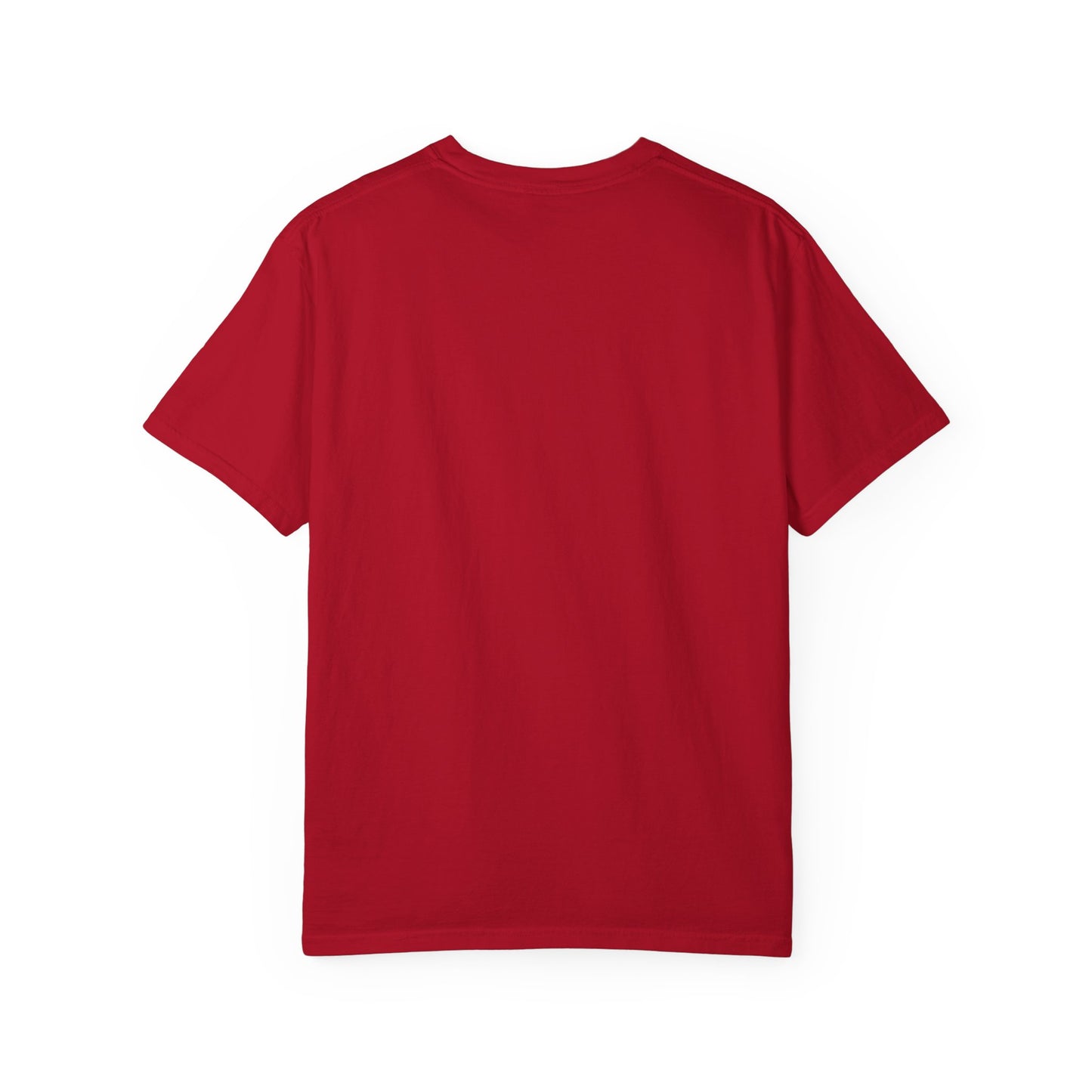 Point within a Circle & Parallel Lines Graphic Tee