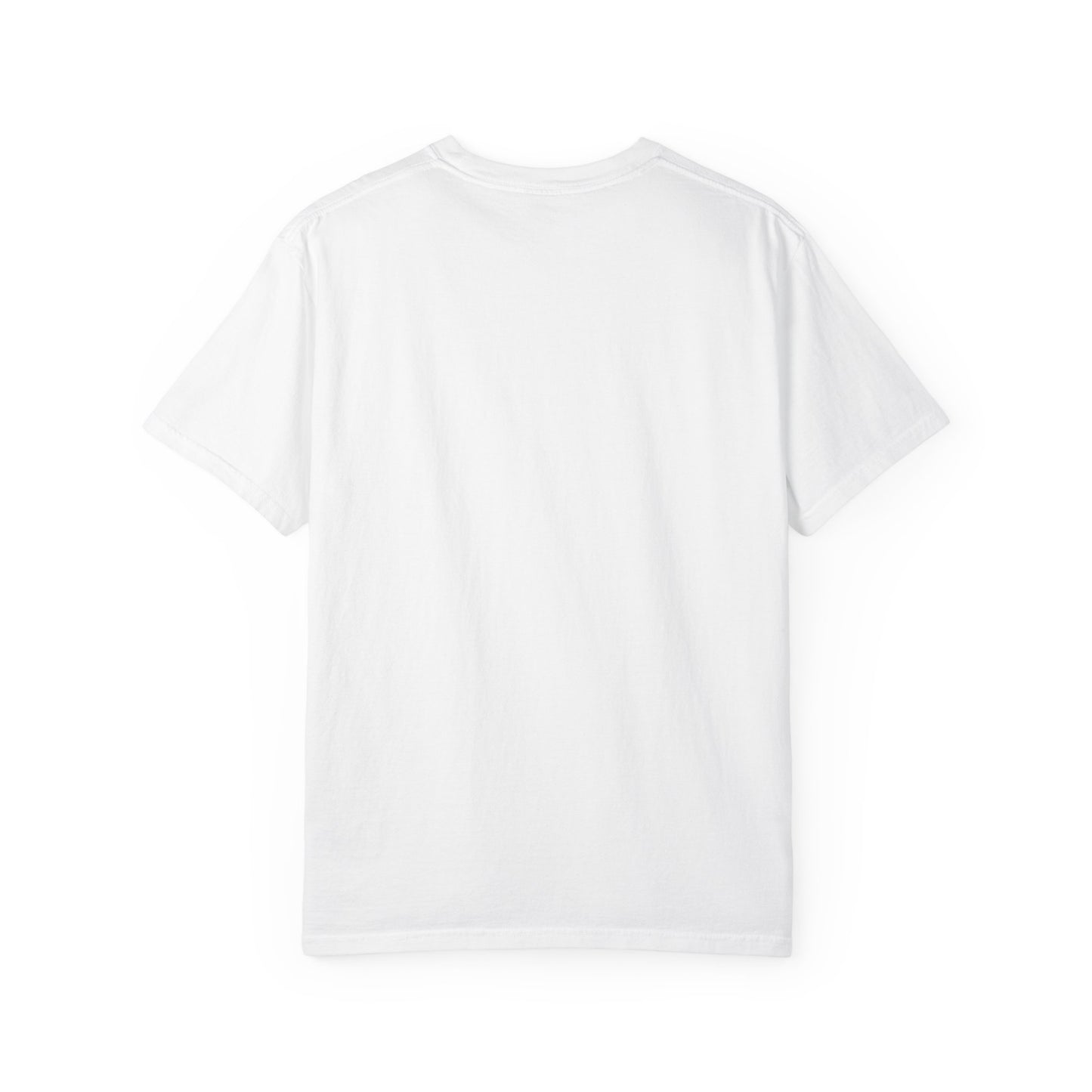 Point within a Circle & Parallel Lines Graphic Tee